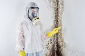 Why You Should Choose Our Mold Remediation Services in Duenweg, MO